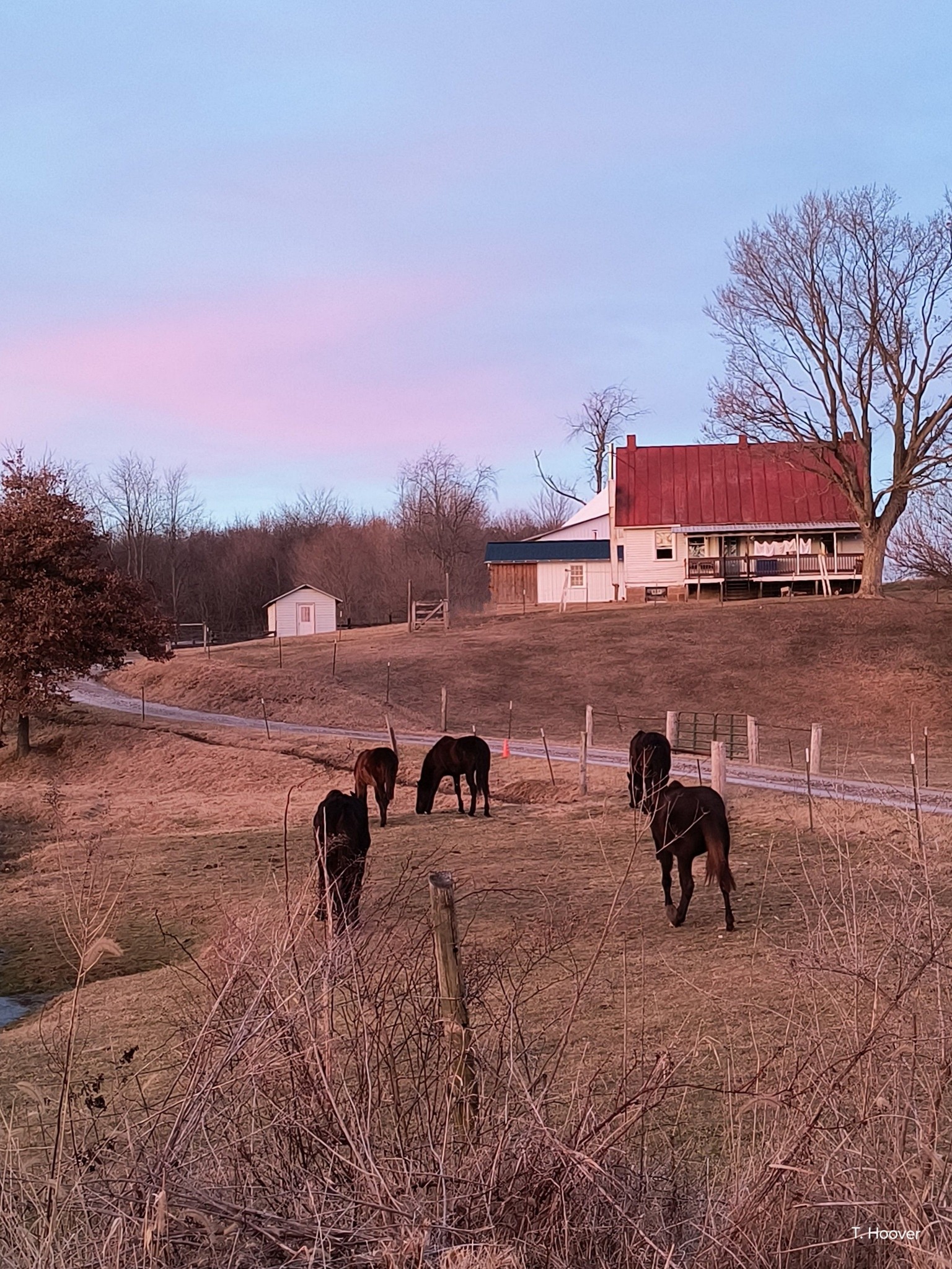 Old Farm Photography | A view of horses in a pasture below a farmhouse ...