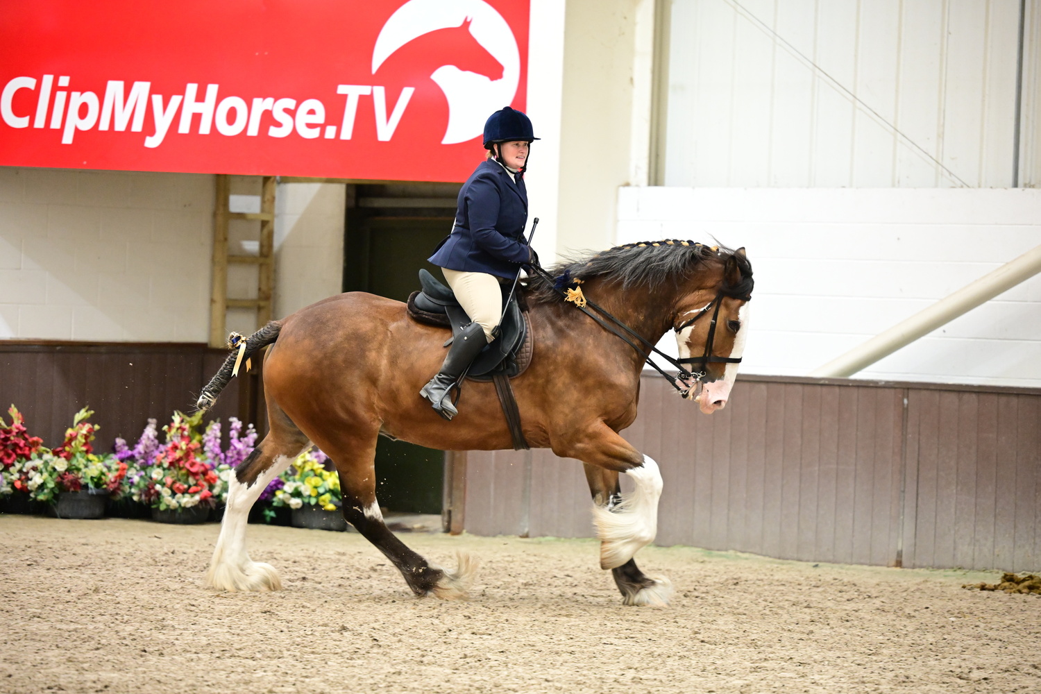 Rawreth Equestrian Centre