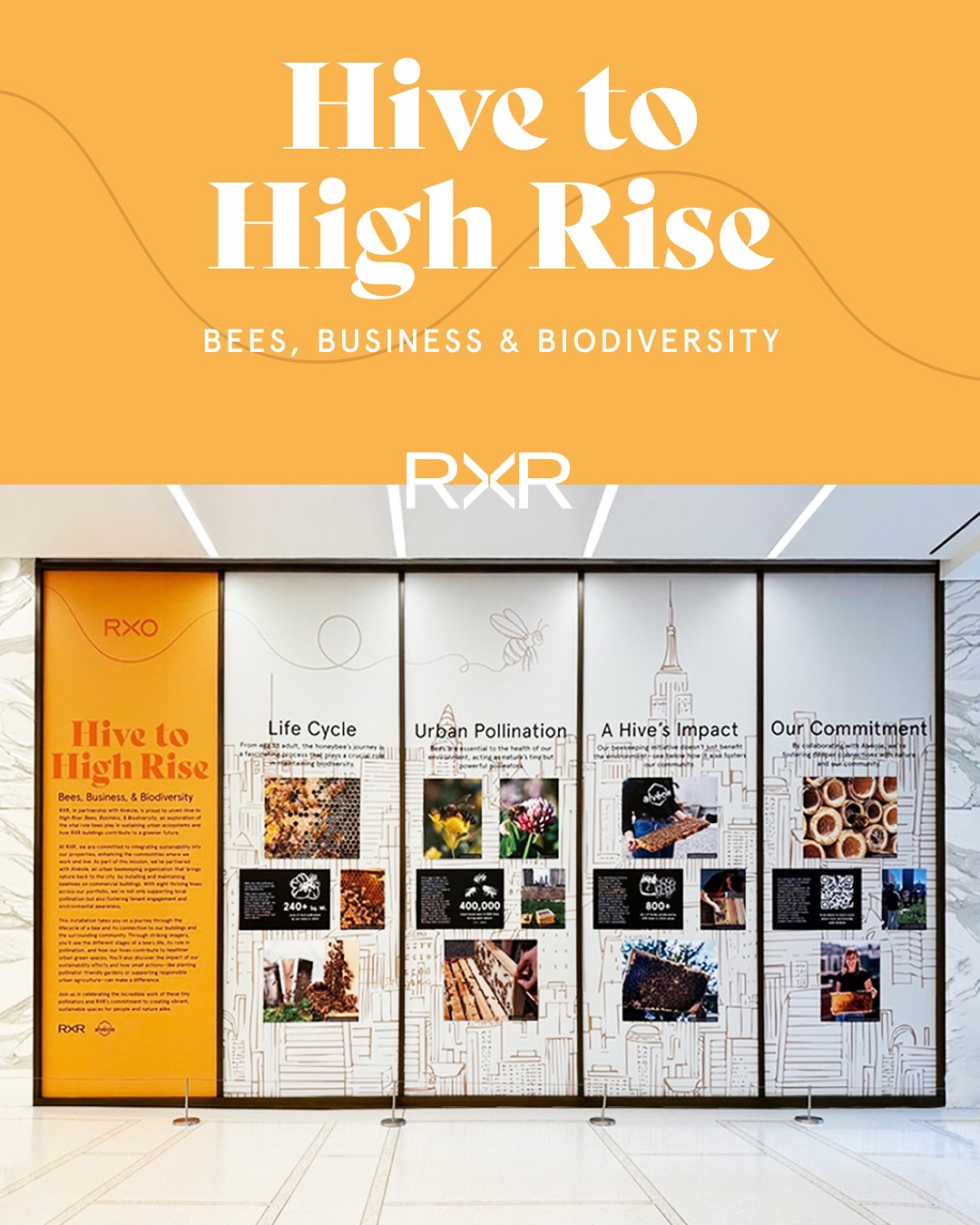 OneRxr - 🐝 Now on view at 75 Rockefeller Plaza RXR, in... | Facebook
