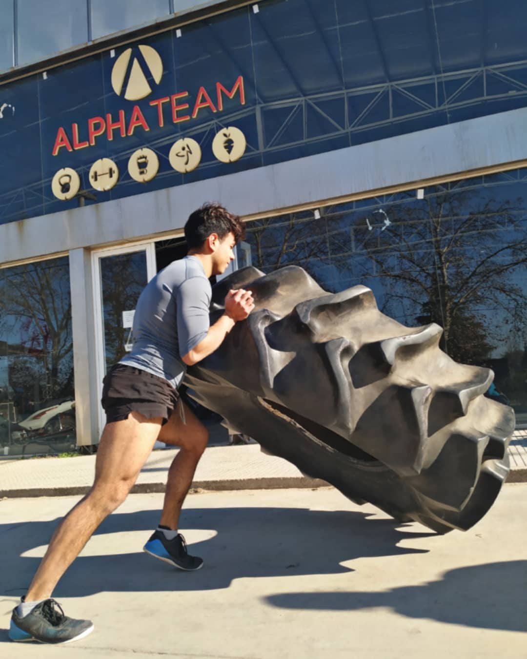 Alpha Team | Pilar