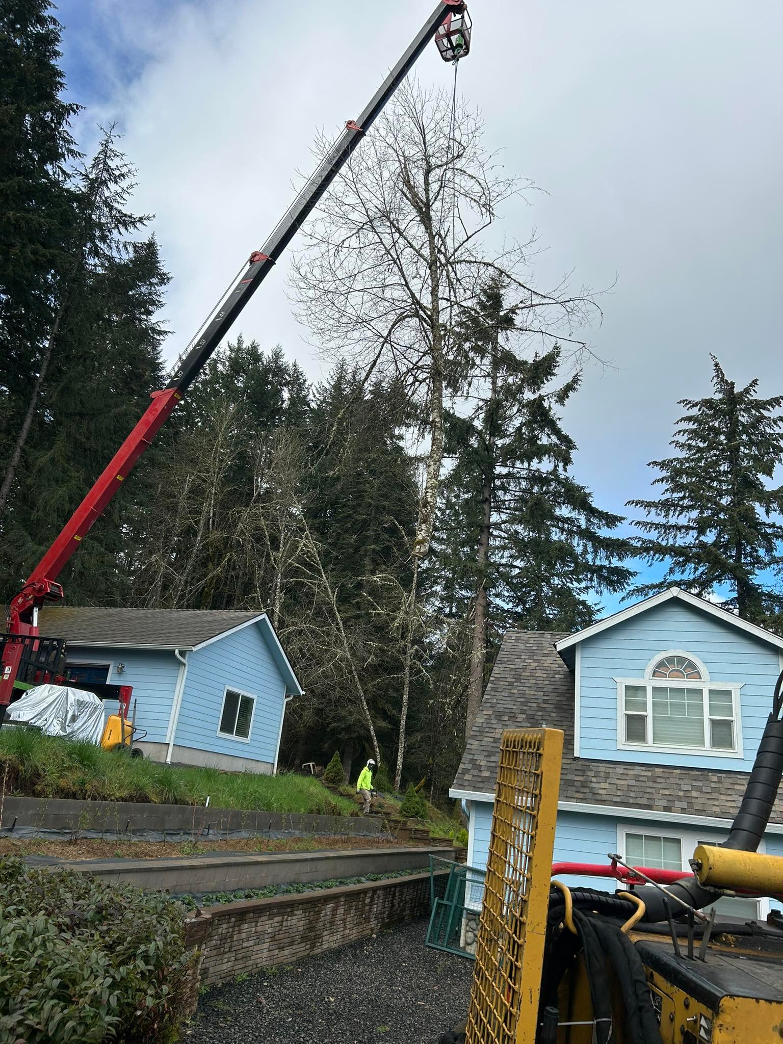 Rose Tree Service & Vegetation Management, LLC | Springfield OR