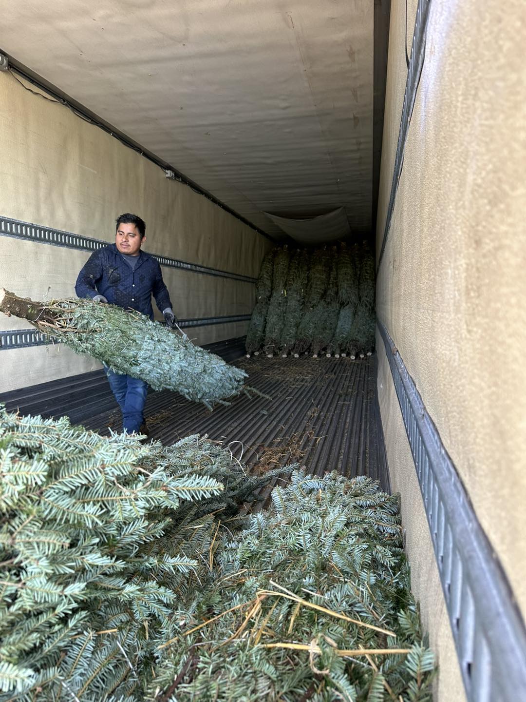 Ergle Christmas Tree Farm | Dade City FL
