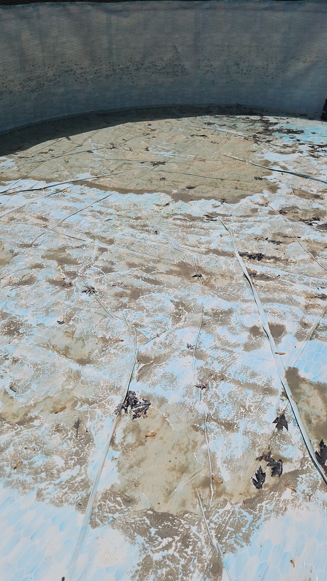 Above Ground Swimming Pools Group | We tried to get this powder like a ...