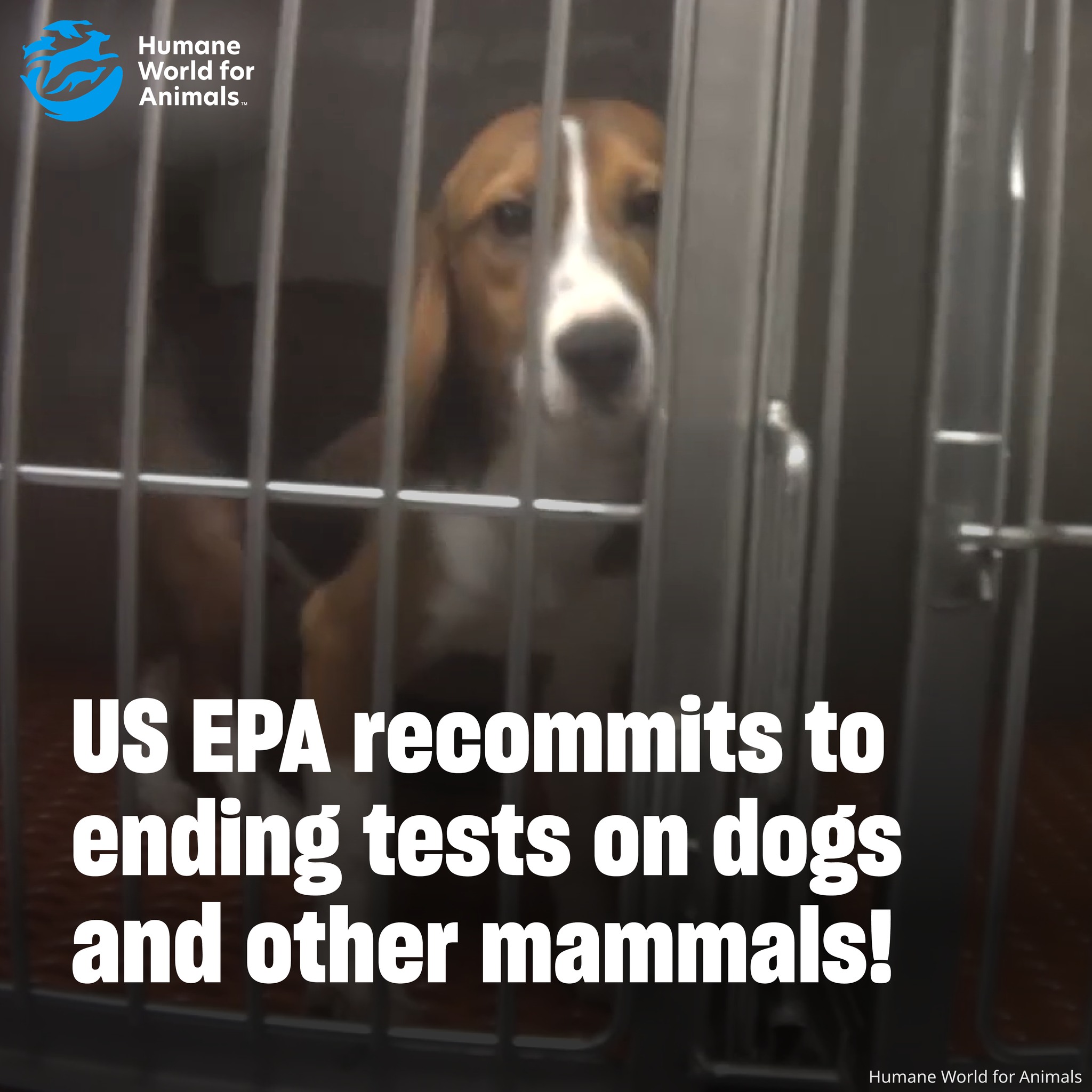 BREAKING: Today, the EPA recommitted... - The Marty Project | Facebook