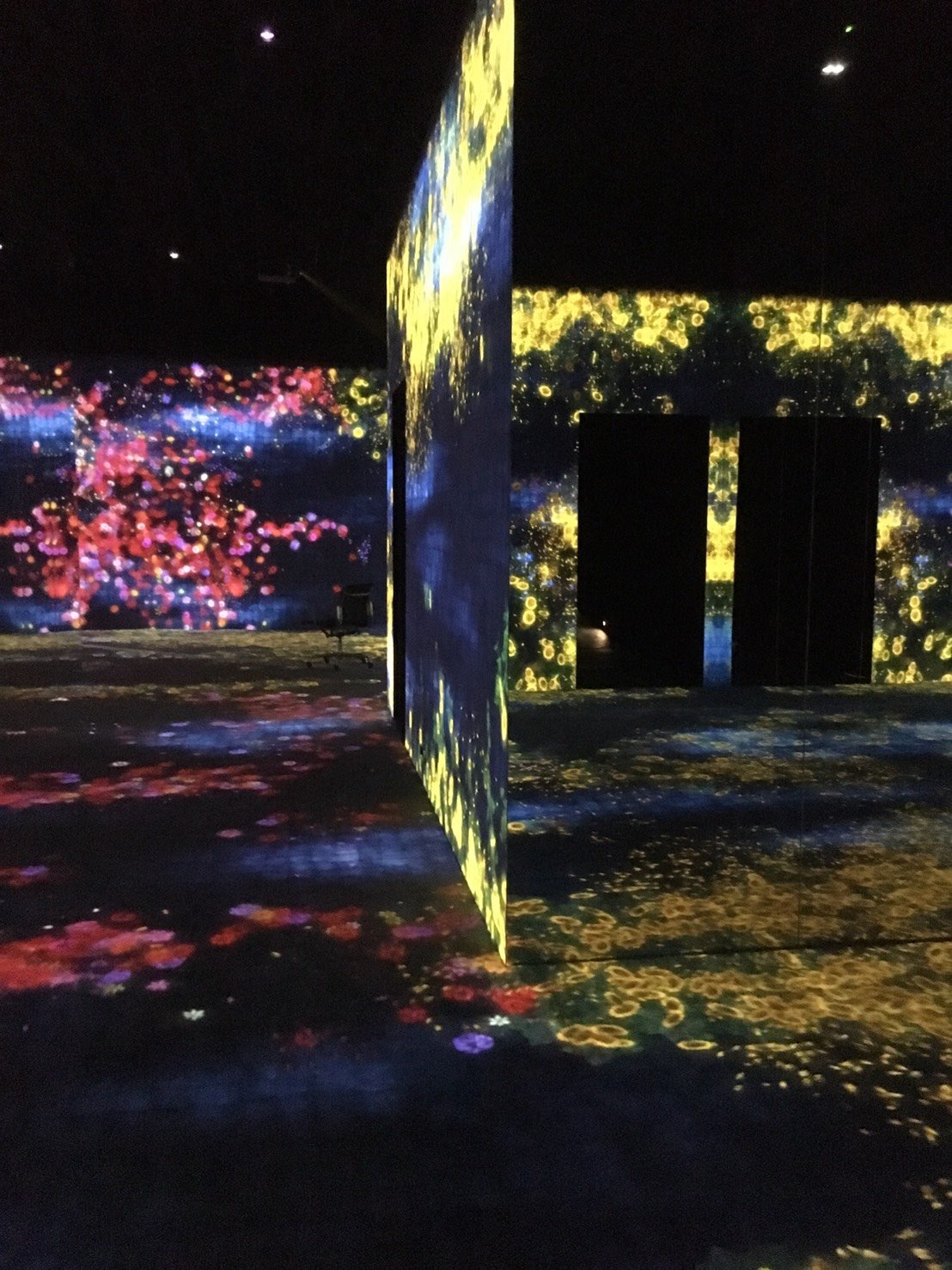 teamLab / チームラボ - teamLab exhibition @PaceBeijing From...