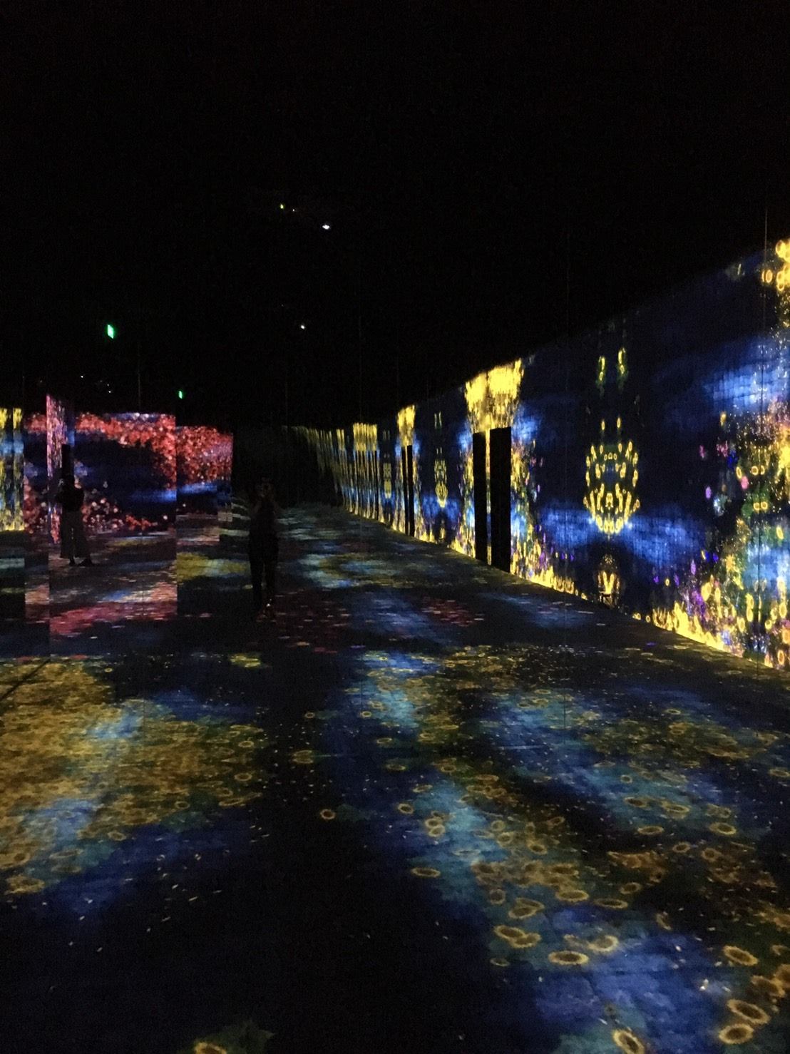 teamLab / チームラボ - teamLab exhibition @PaceBeijing From...