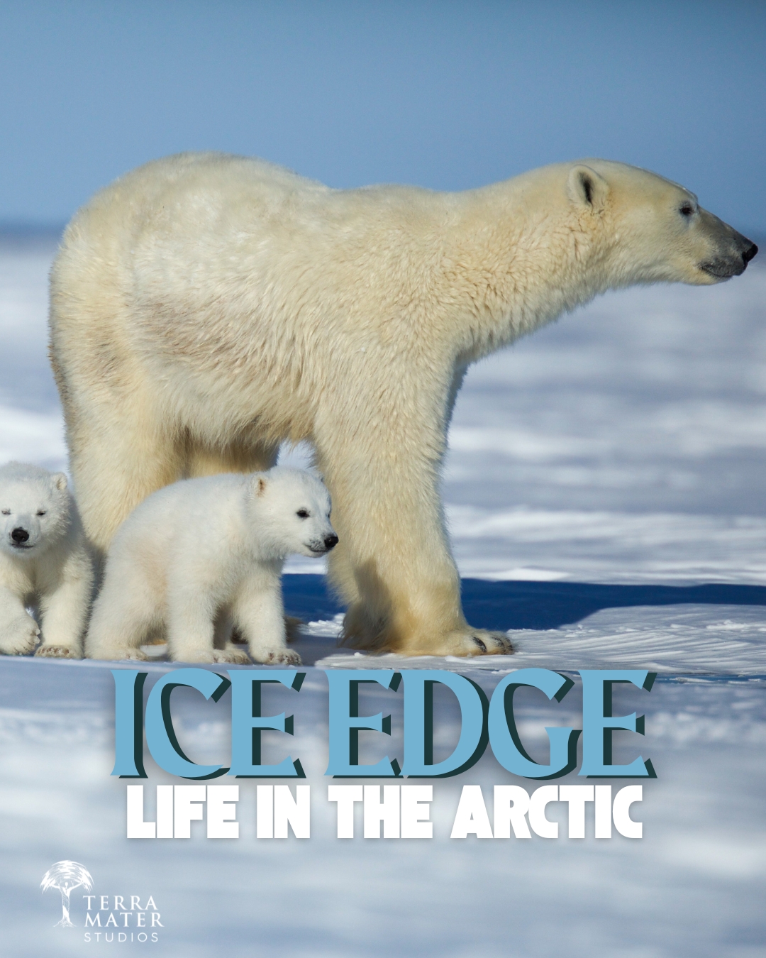 the-ice-edge-wildlife-of-north-terra-mater-studios-facebook