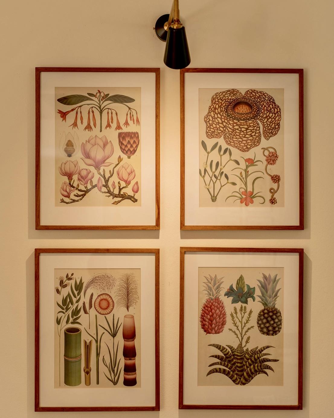 Botanicum At Ridgeback | Paarl