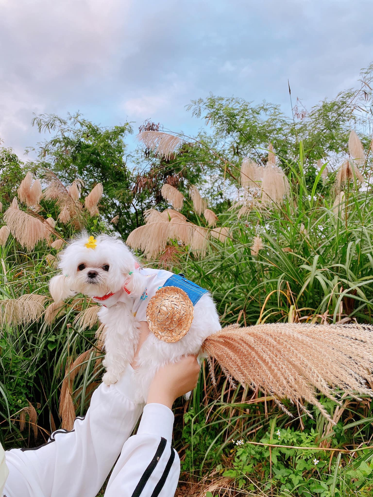 咪妮小賊 - 咪妮今天是小魔女～～～🧙🏻‍♀️ 初體驗梅花湖探索日🌲吸芬多精 梅花湖真的很漂亮～～🌿🌿🍃🌿... | Facebook