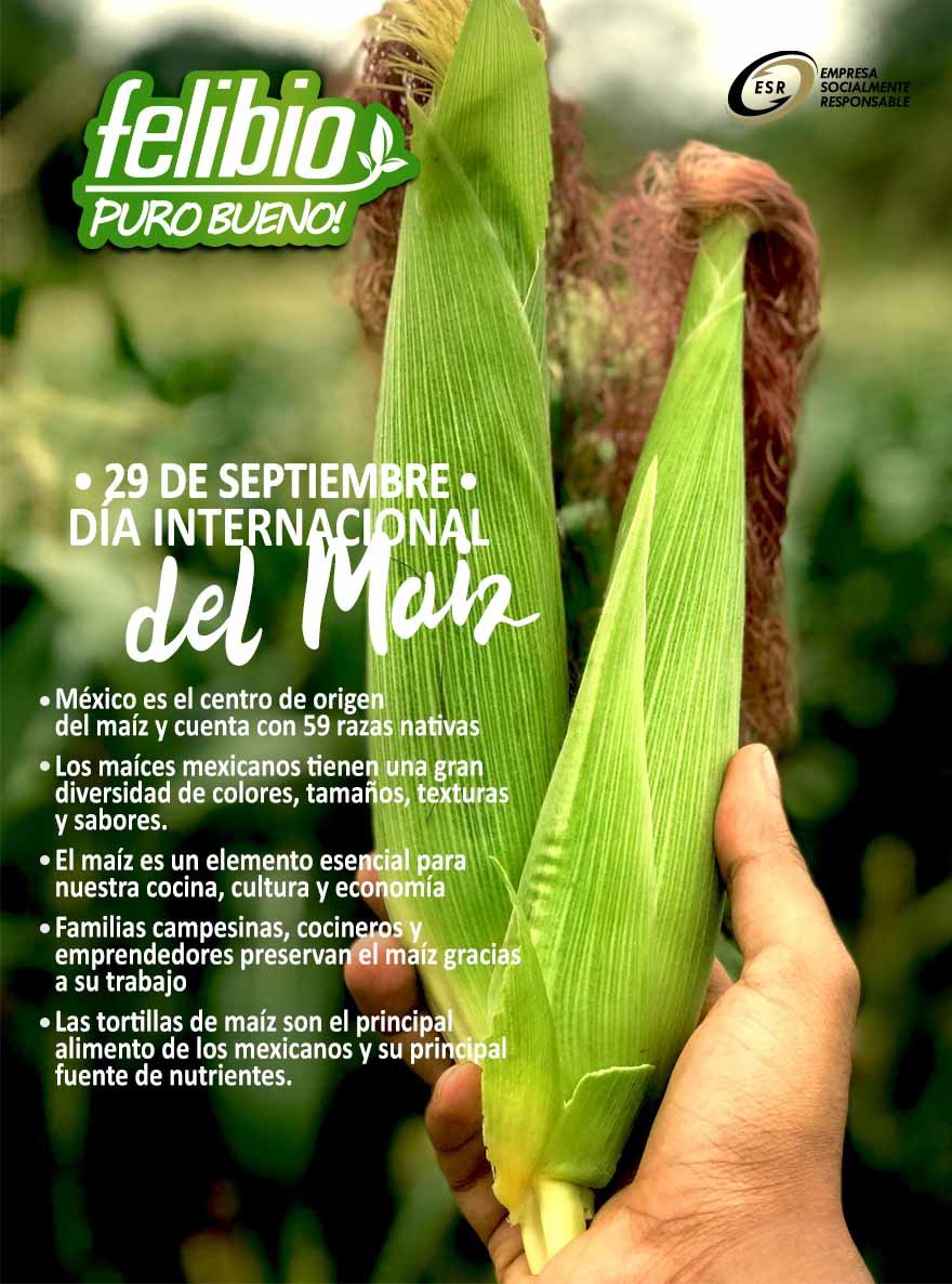 Fertilizantes - La conmemoración surgió en 2009 a partir del movimiento ...