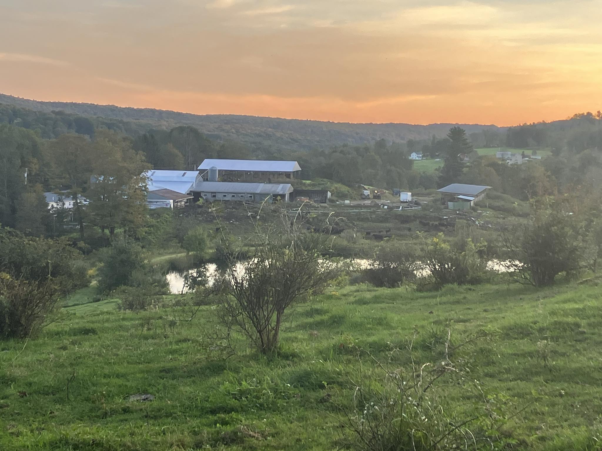 Denis Halstead's Farm