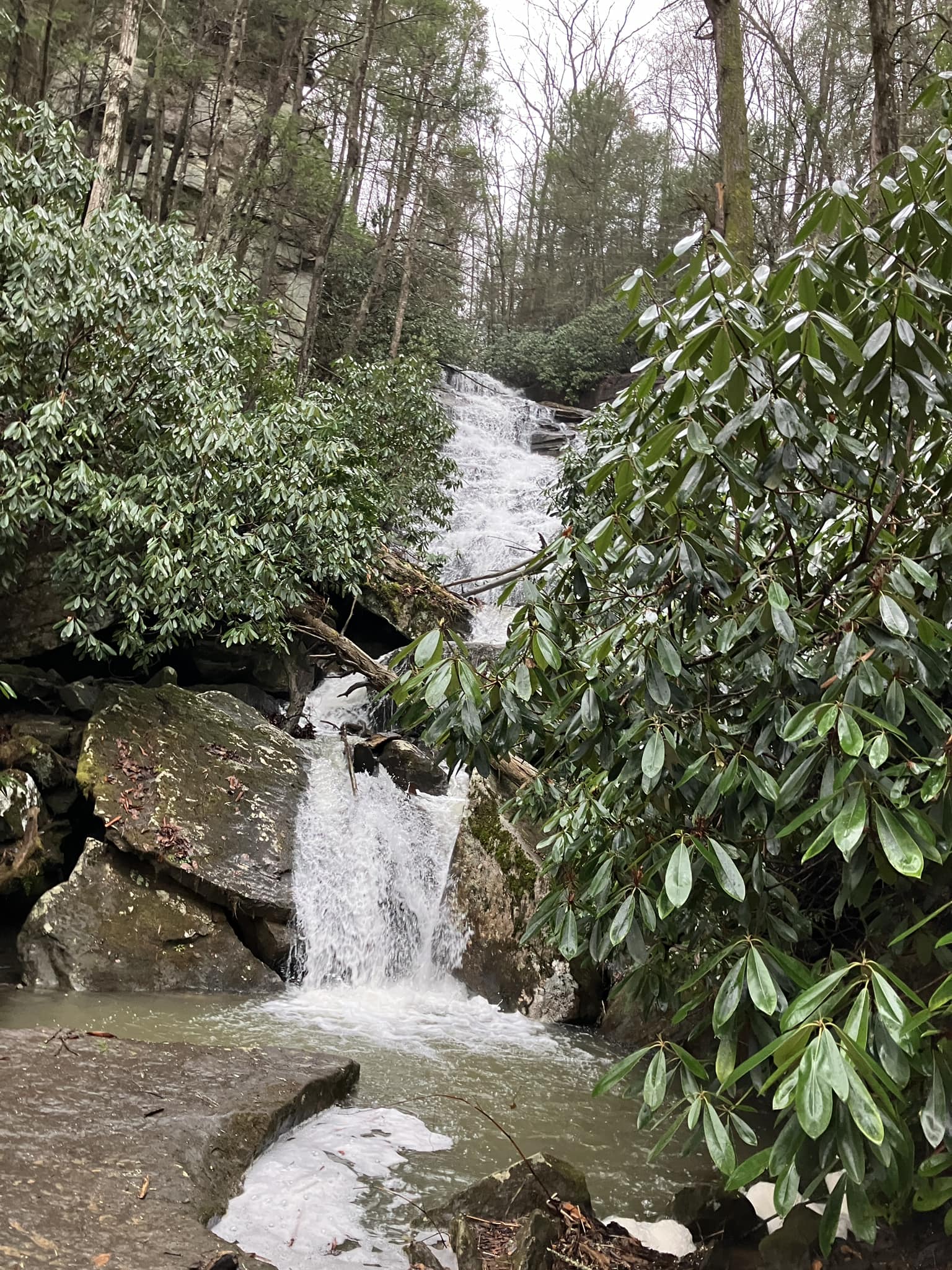 Wolf creekish , off of Kaymoor