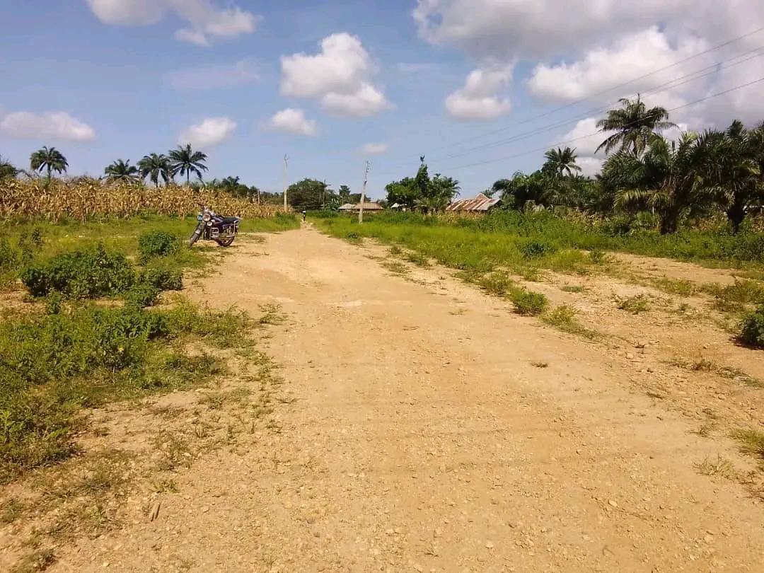 Nasarawa - FG Paid Over ₦663m To Triacta For OLA Junction-Wakama-Eggon ...