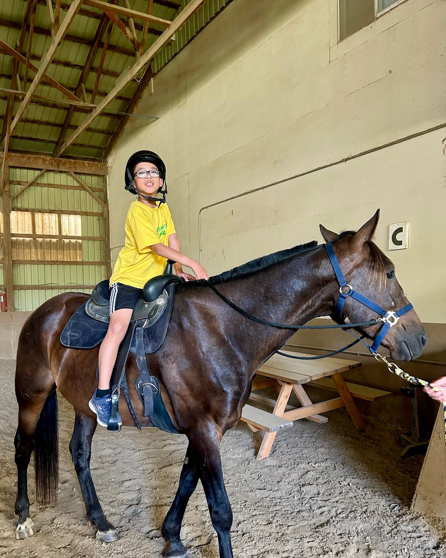The Crystal Ladder Ranch | Newmarket ON