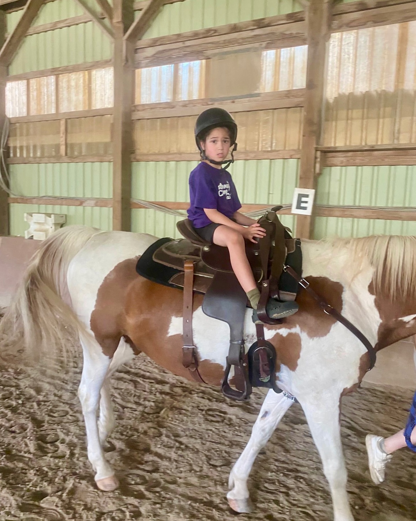 The Crystal Ladder Ranch | Newmarket ON
