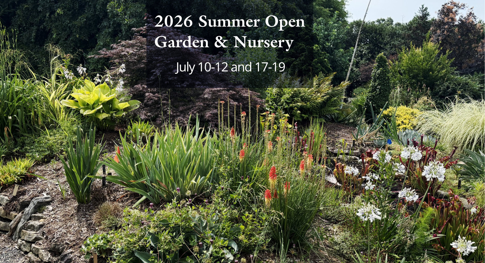 Plant Delights Nursery, Inc. (@PlantDelightsNursery) - Mentions 