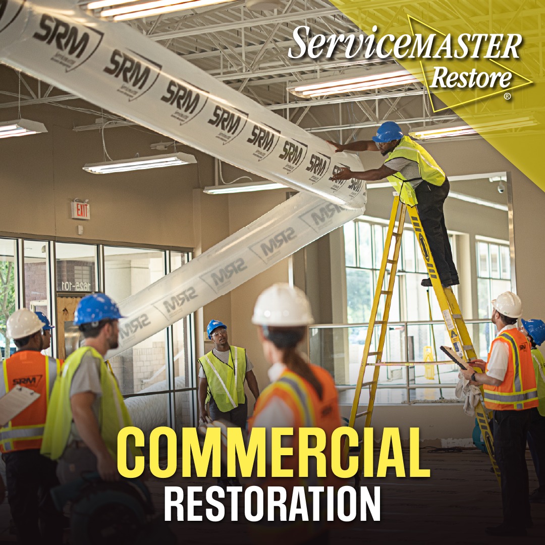ServiceMaster of Lafayette