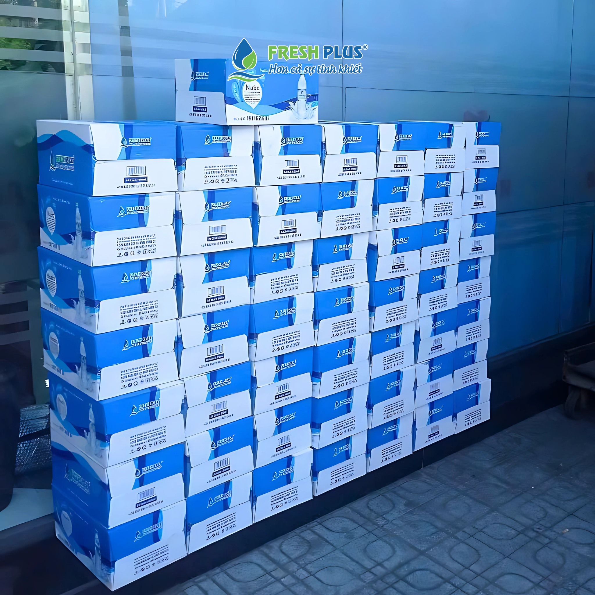 Fresh Plus
