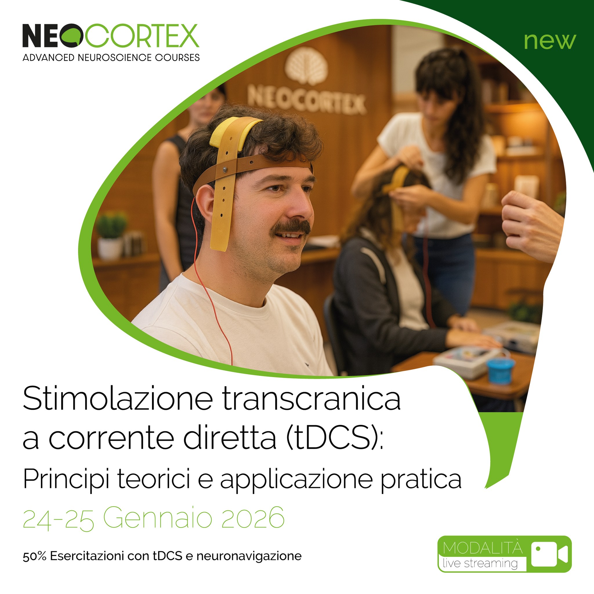 Neocortex | Rome