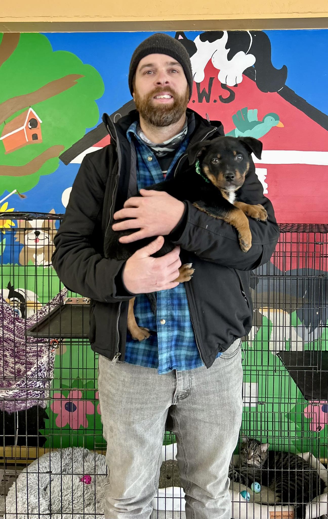Animal Welfare Society of Southeastern Michigan | Madison Heights MI