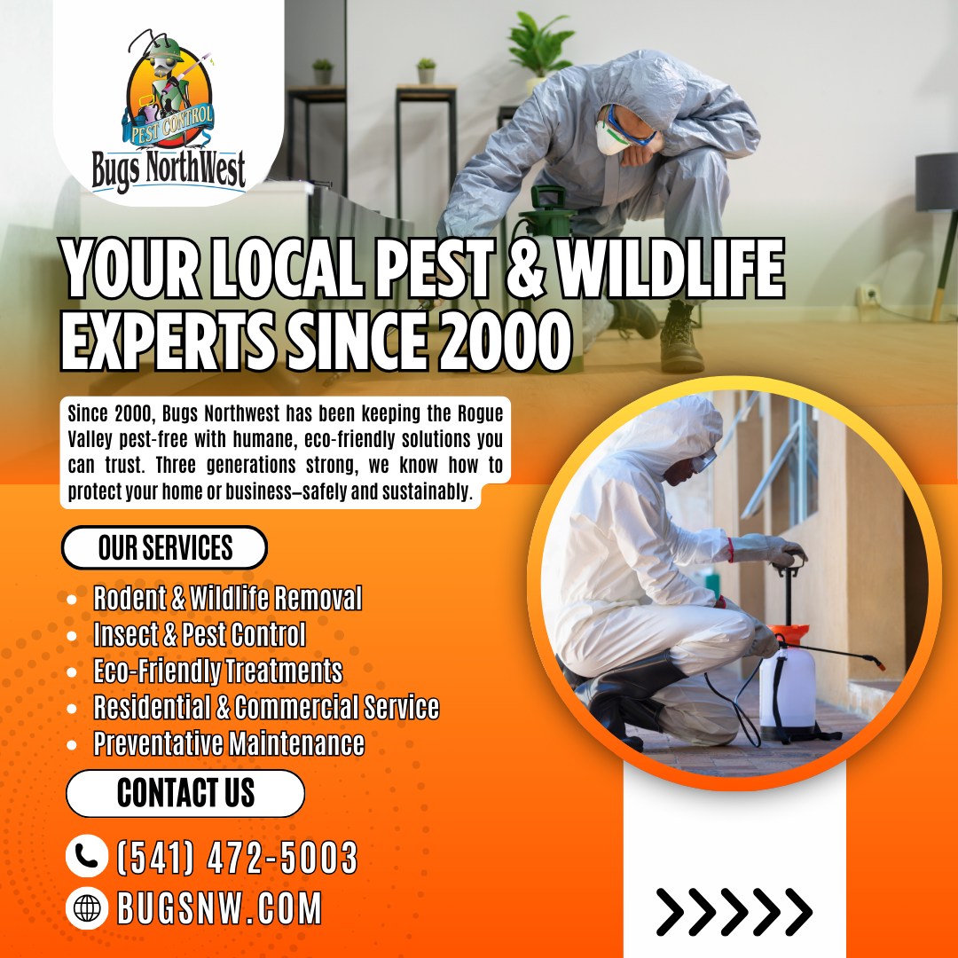 Bugs Northwest - Your Local Pest & Wildlife Experts Since... | Facebook