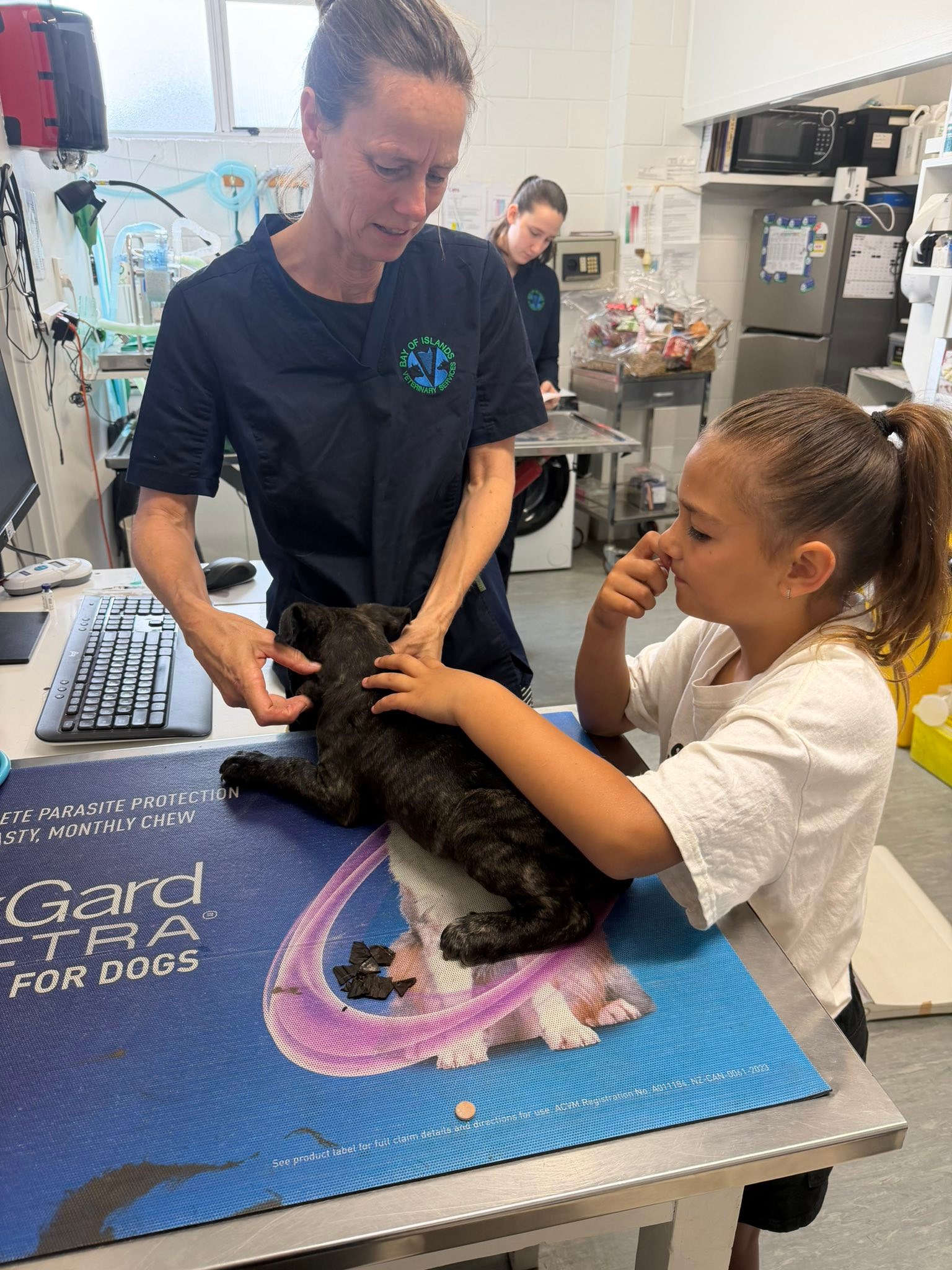 Bay of... - Bay of Islands Animal Rescue - Never Ending Story