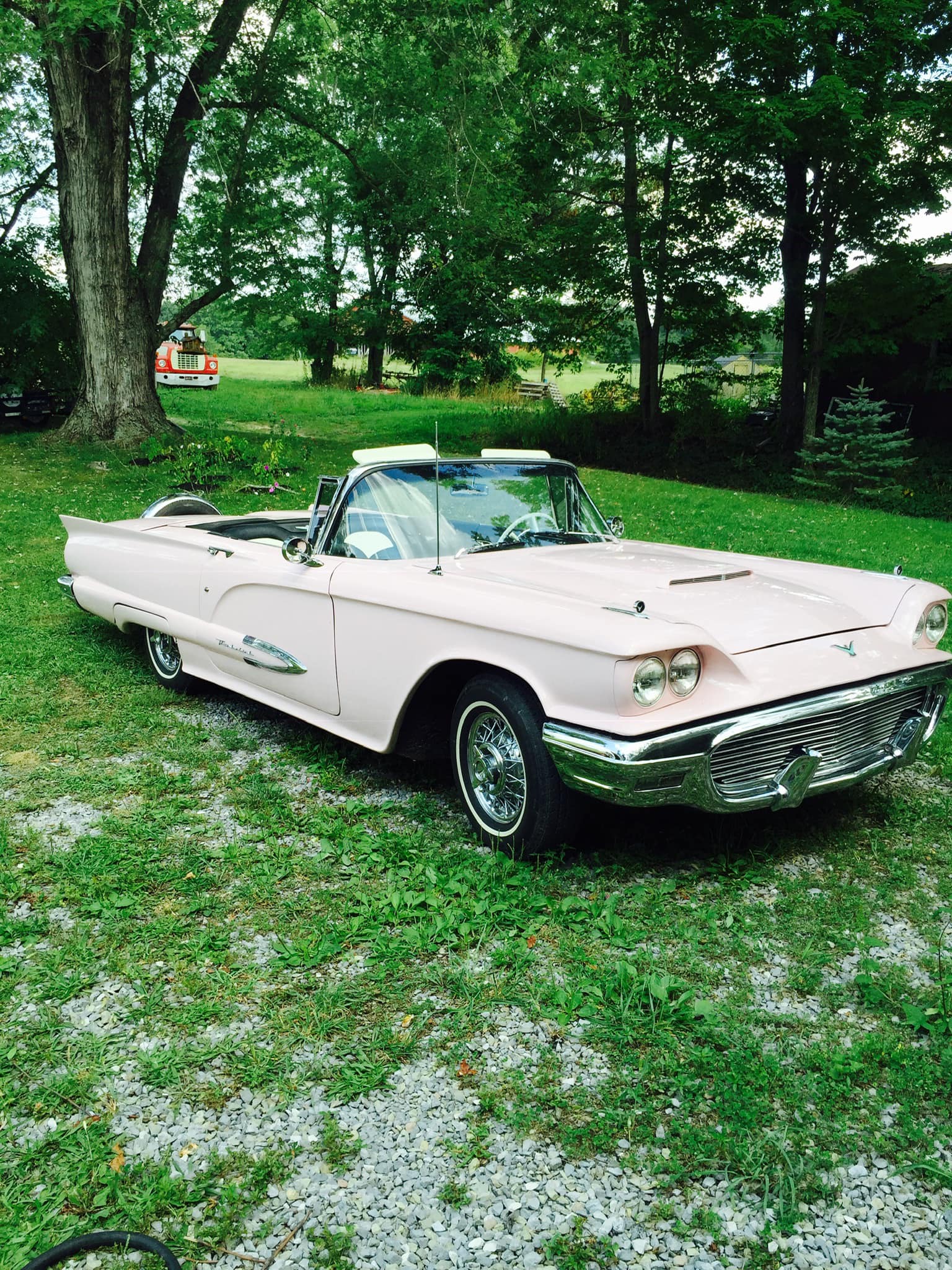 What is the history of my 1959 Cordovan Thunderbird convertible?