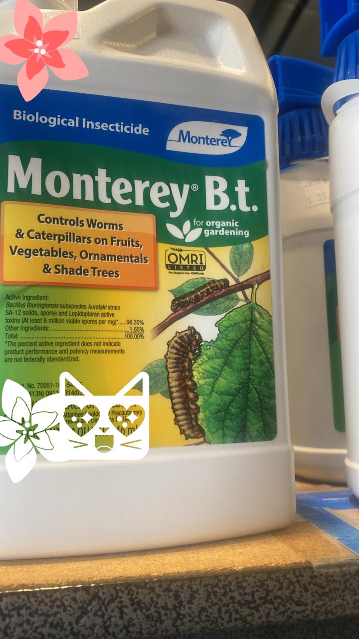 GrowBIGogh - Monterey BT Biological Insecticide Ready to use Control ...