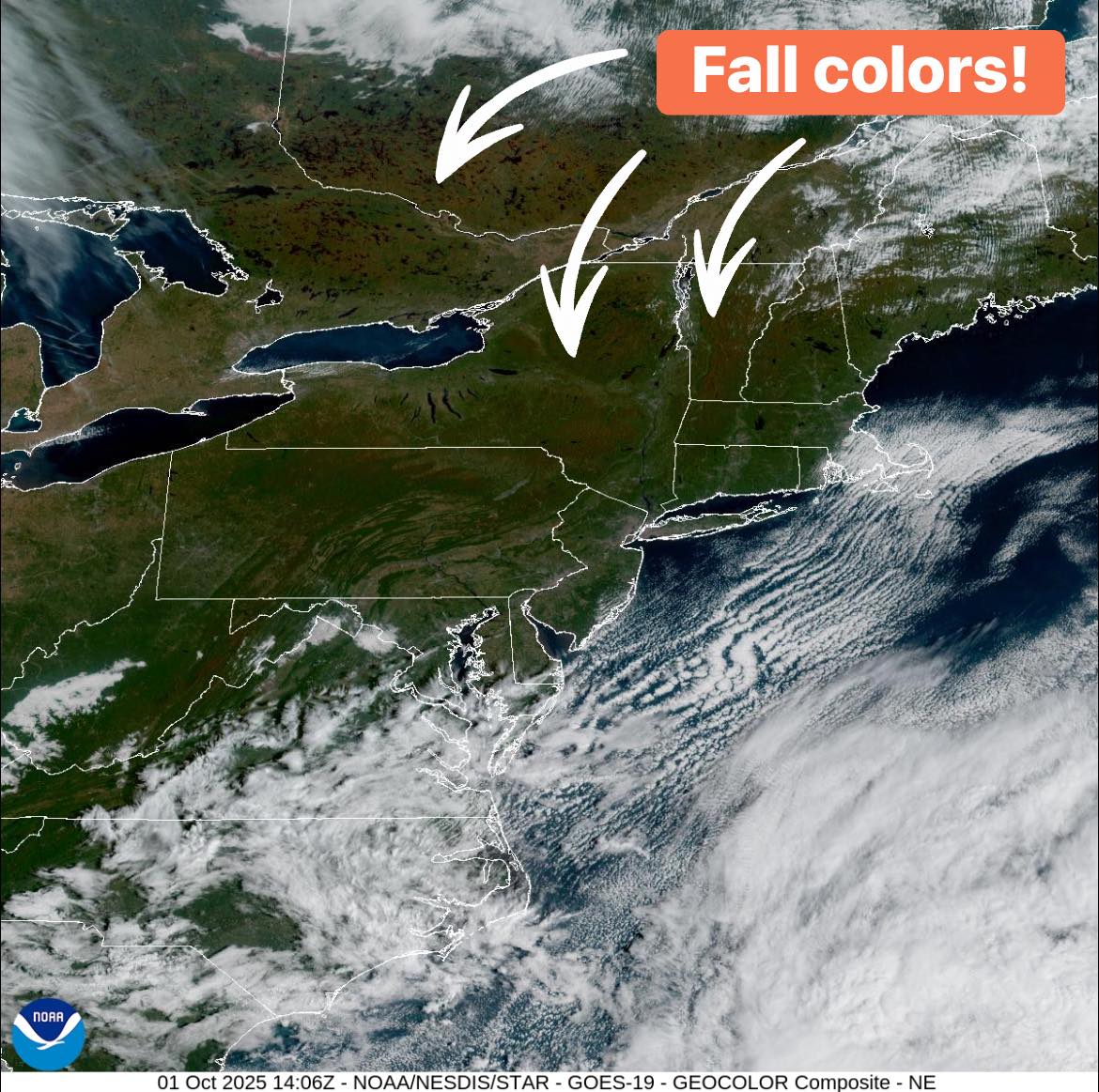 Meteorologist - WHAT A VIEW‼️Fall colors are starting to pop and are ...