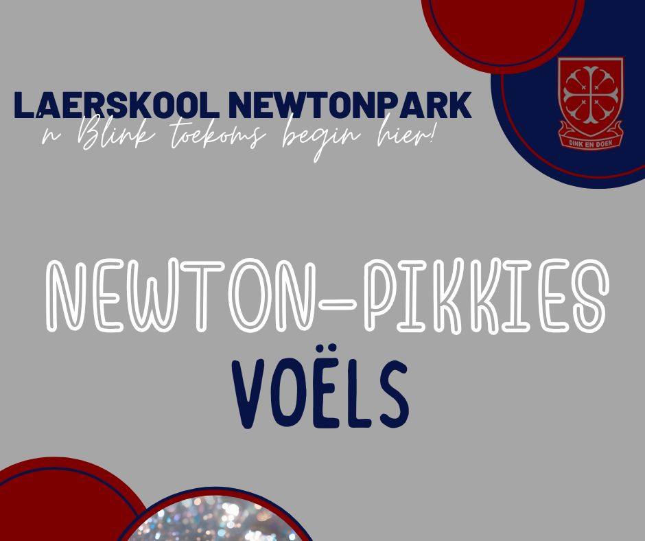 Laerskool Newtonpark added a new photo. - Laerskool Newtonpark