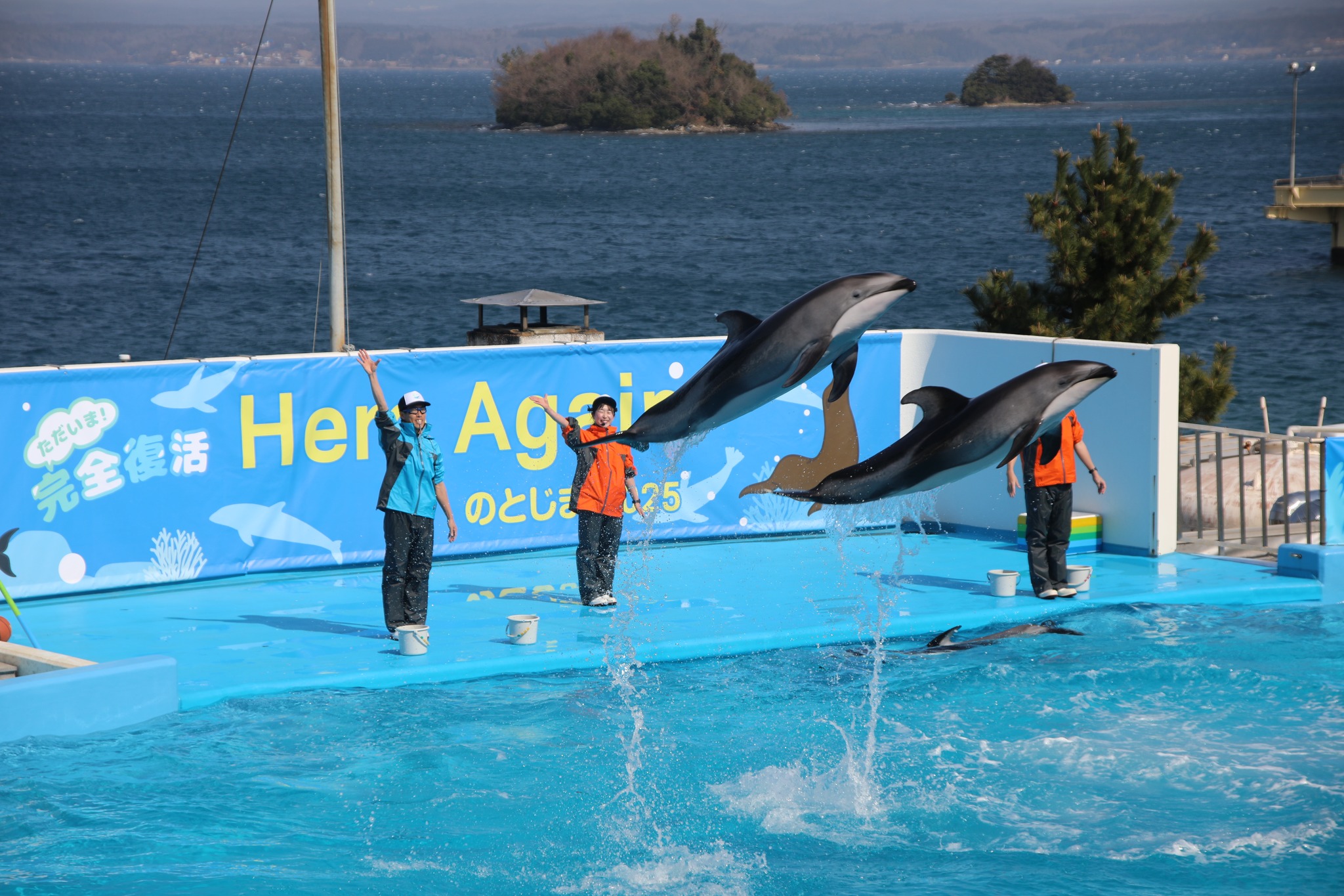 のとじま水族館 | Nanao-shi Ishikawa