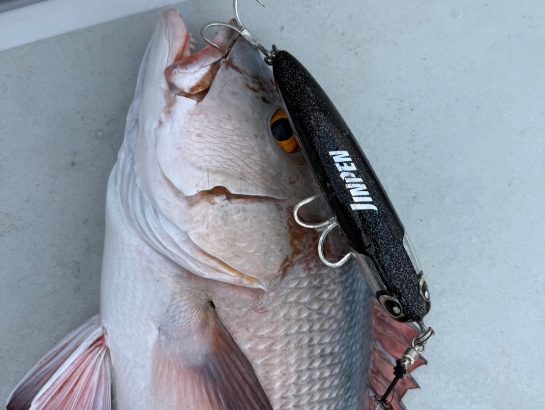 Jinpen Ocean 180」にてGT釣果報告頂きました！ 近藤さんは年間何本の