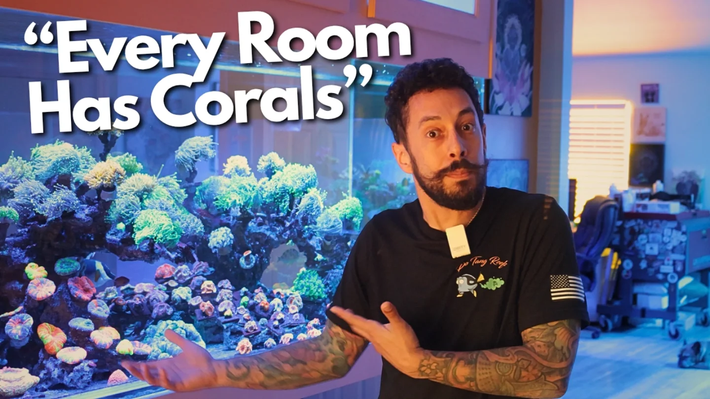 I went on a private tour of Poo Tang... - The Coral Reef Talk | Facebook