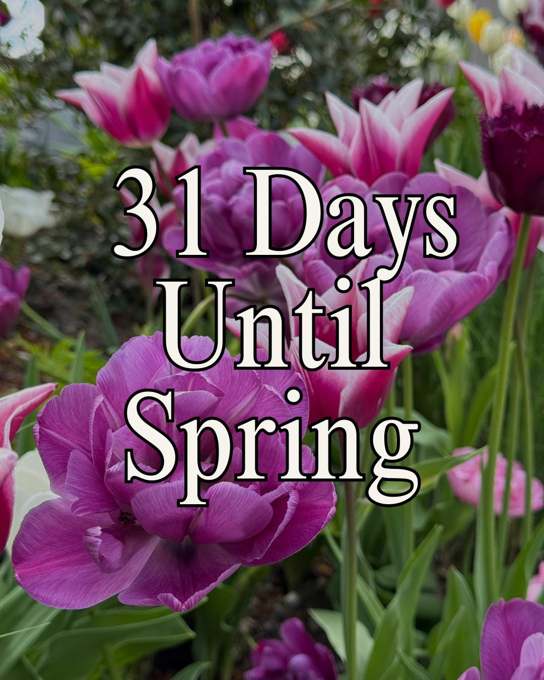 Flowers - I can’t believe how close we’re getting 😊 31 days until ...