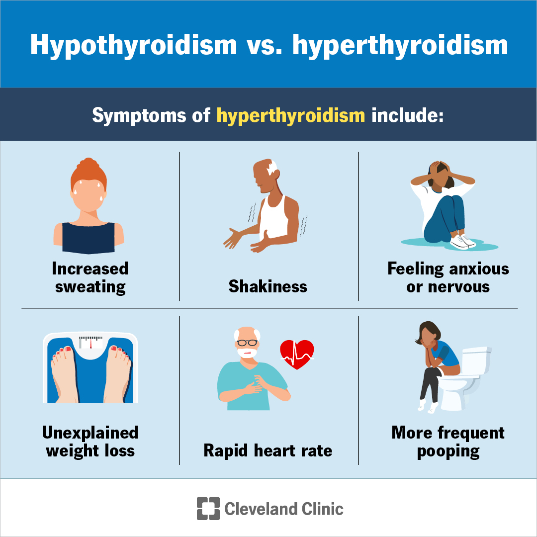 Hypothyroidism is when your thyroid gland doesn't make and release enough hormone into your bloodstream. The condition slows down your metabolism, which may make you gain weight unexpectedly or feel tired all