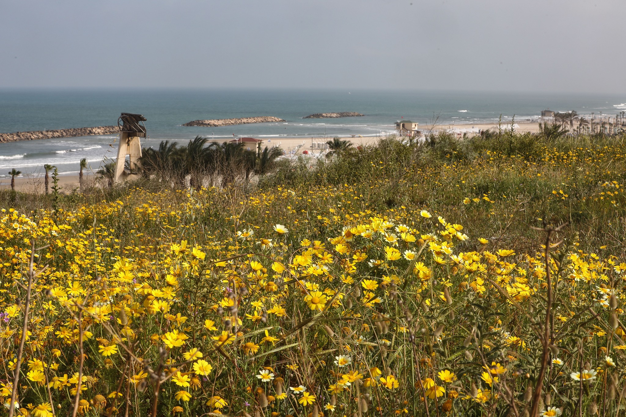 עיריית הרצליה - ‎עיריית הרצליה‎ added a new photo.