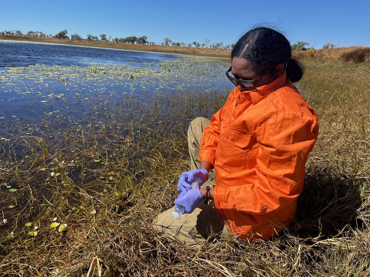 Kimberley - Kija Ranger wetlands monitoring | Facebook