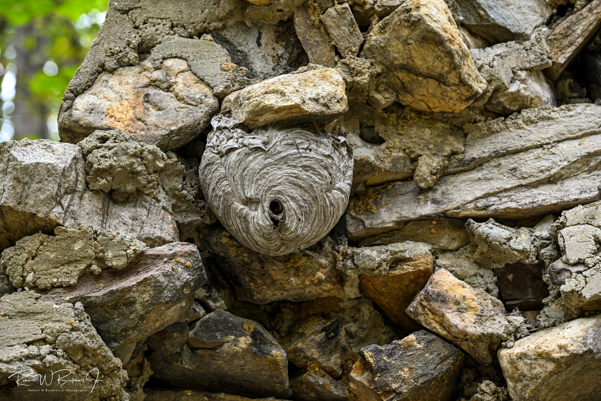 Great Sunken Road/Hornets Nest photo from Perry in the Shiloh