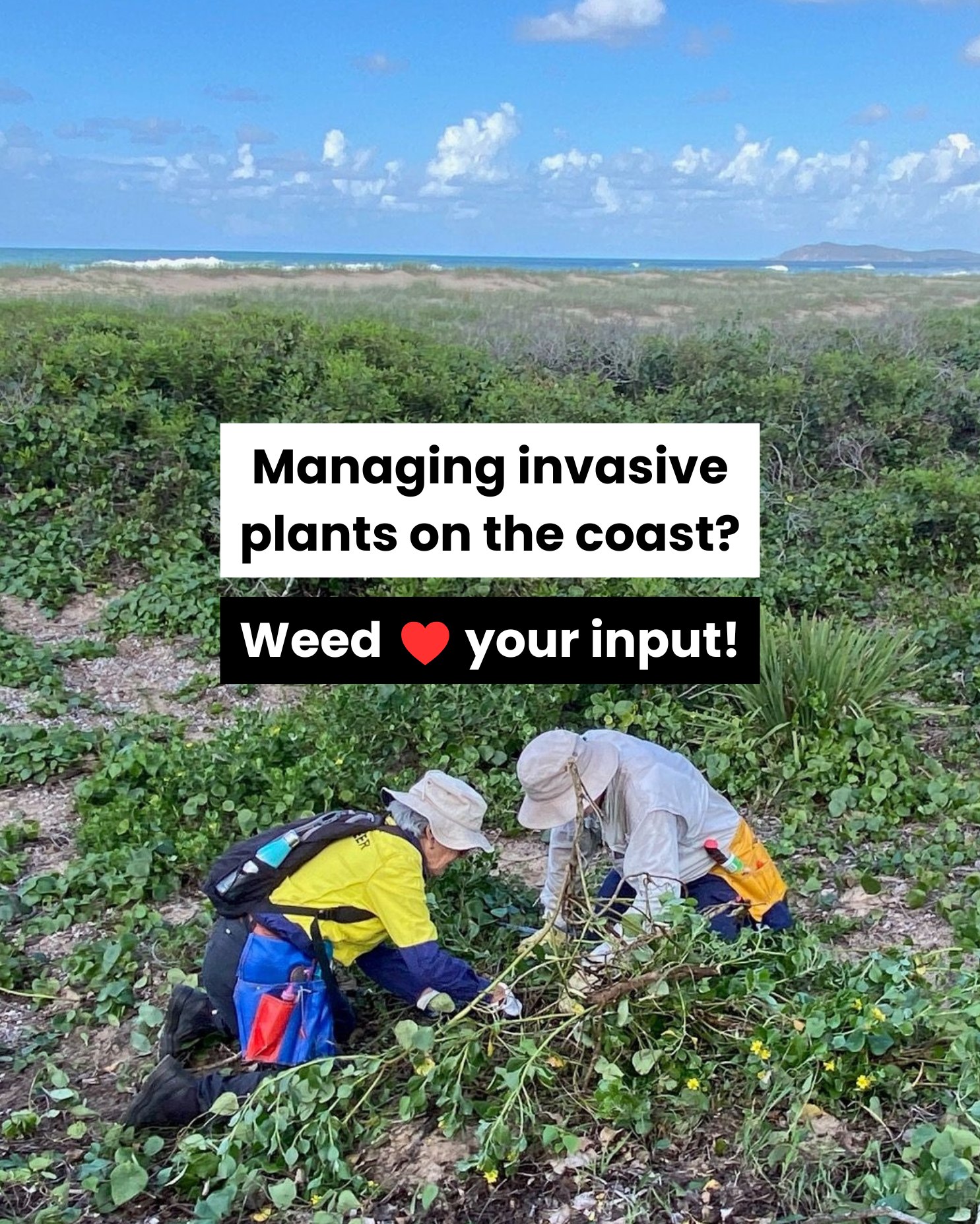 We manage nearly... - NSW National Parks and Wildlife Service | Facebook