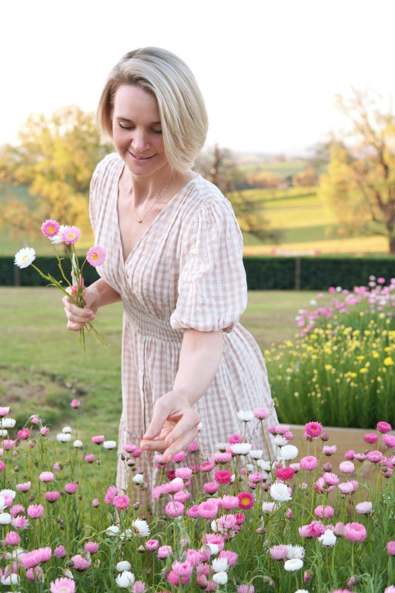 Lucinda's Everlastings | Mobrup WA