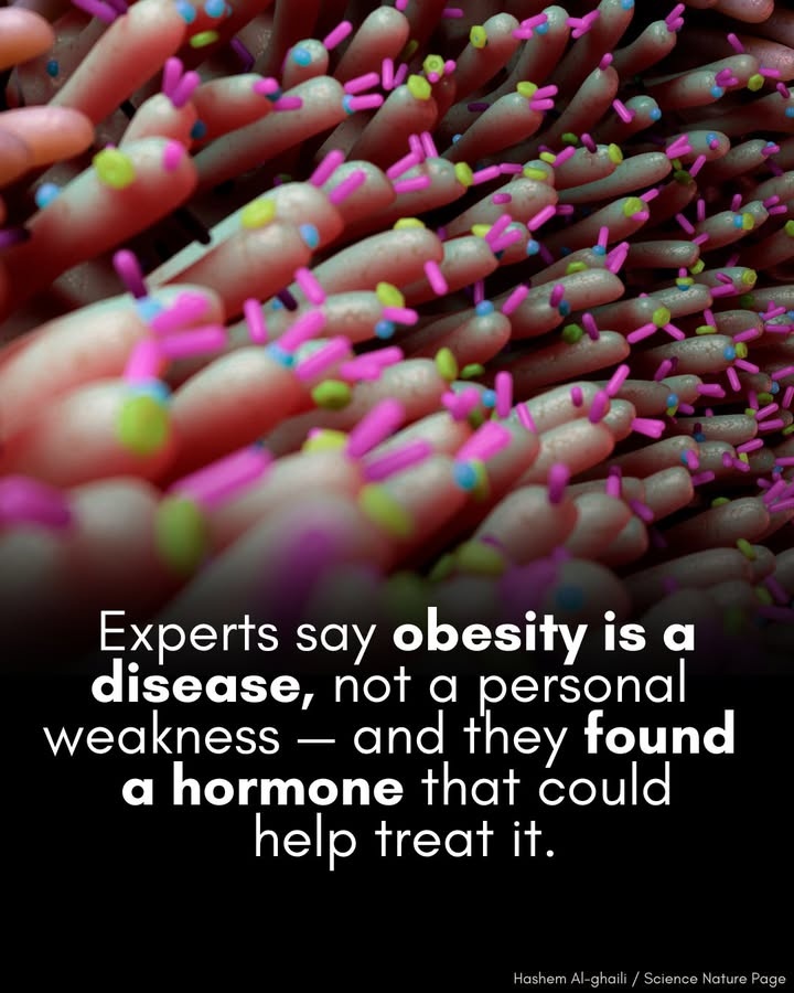 Engineering - 🚨 Obesity isn’t a weakness — it’s a disease. And ...