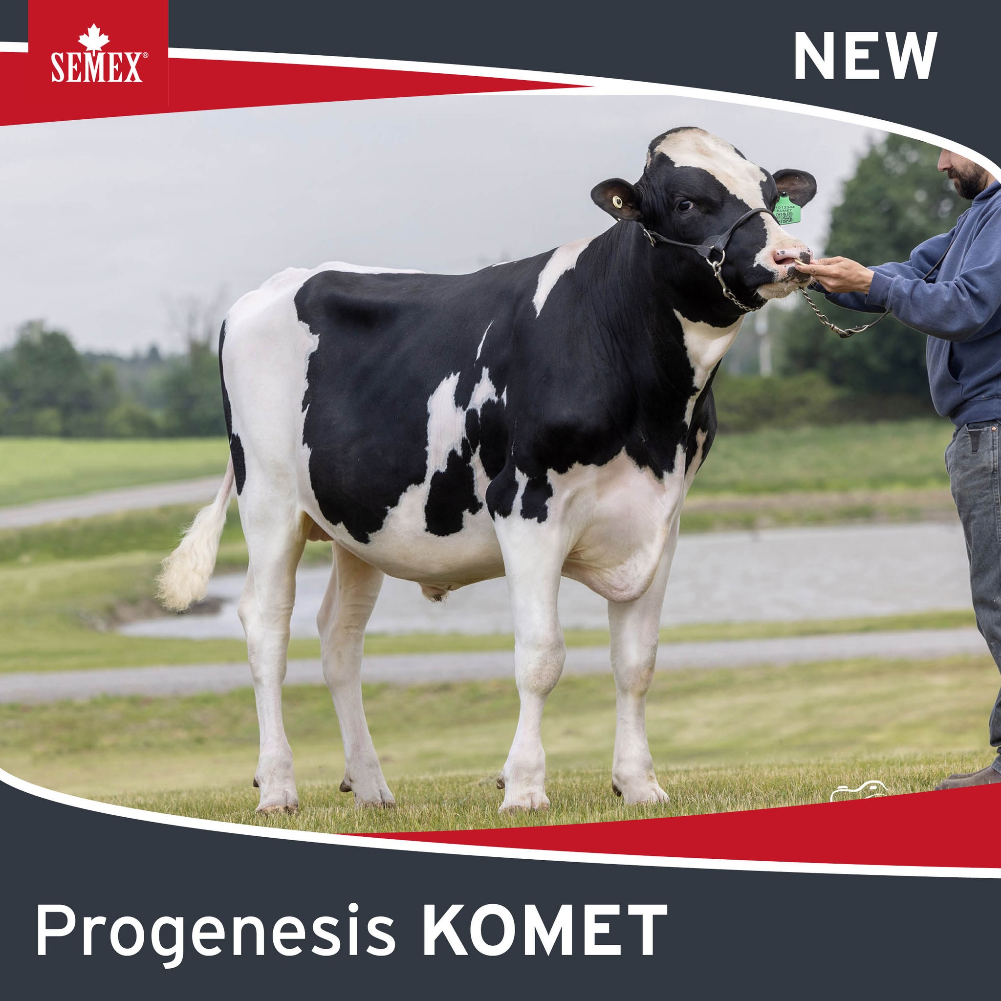 Semex UK | Prestwick