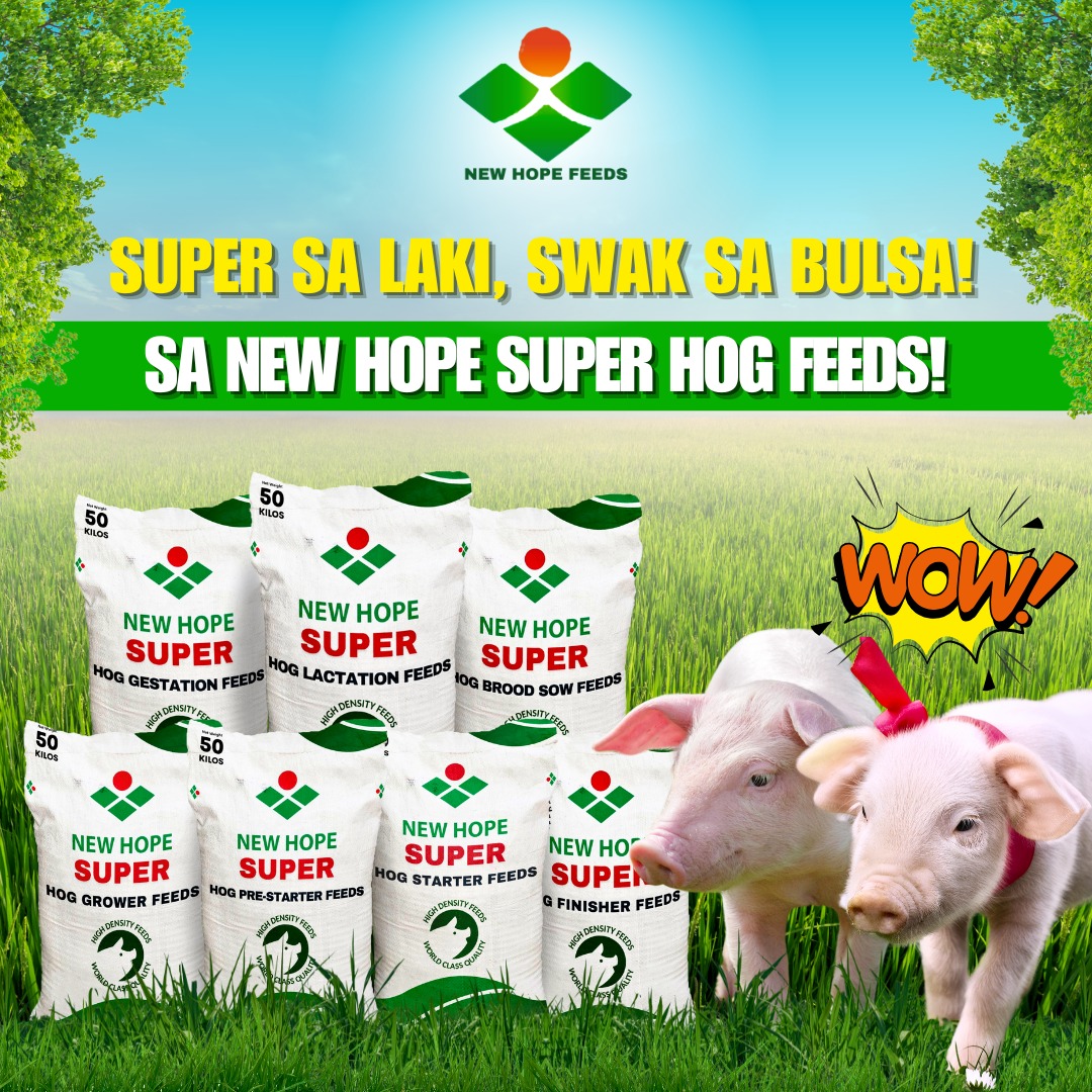 🐷💪 “Super sa Laki, Swak... - New Hope Tarlac Agriculture Inc. | Facebook