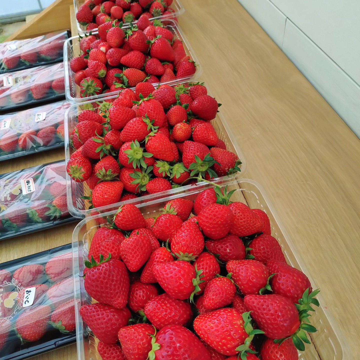 いちご 農園 オハナ