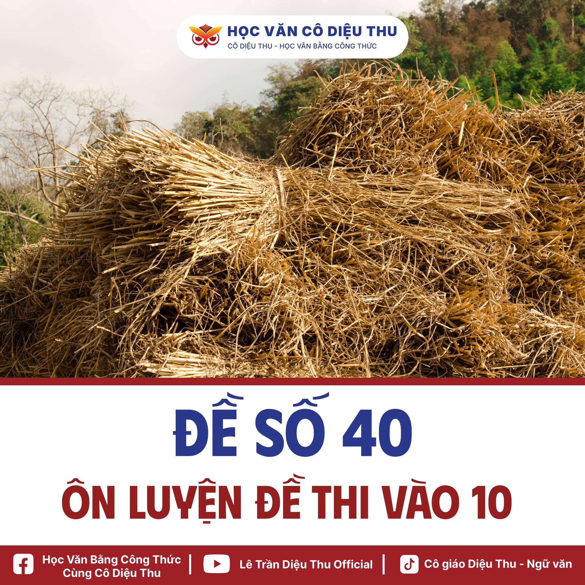 Học - 📖 ĐỀ SỐ 40 📖 I. ĐỌC HIỂU (4,0 điểm) Đọc bài thơ sau và thực hiện ...