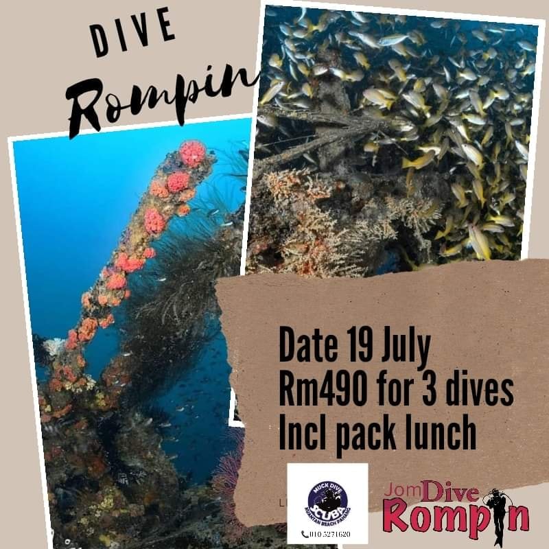 Muck Dive Scuba Kuantan - Dive Rompin, Pahang Join our next dive to ...