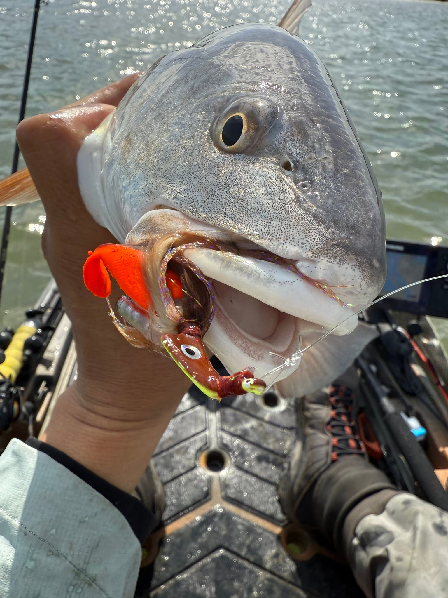 g loomis fishing rod G. NRX+ Ned Rig Spinning CAD26ROD and a micro full Amazon Ego Large Rubber Model:Spinning 8' Medium Light