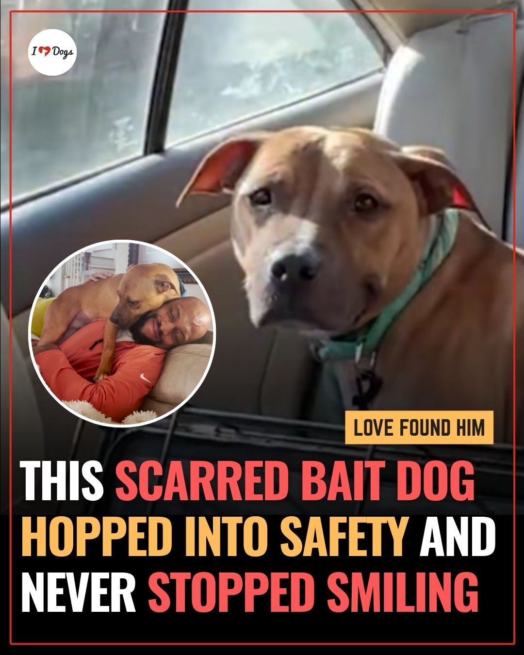 iHeartDogs - Maria walked into the shelter that morning with no plan to ...