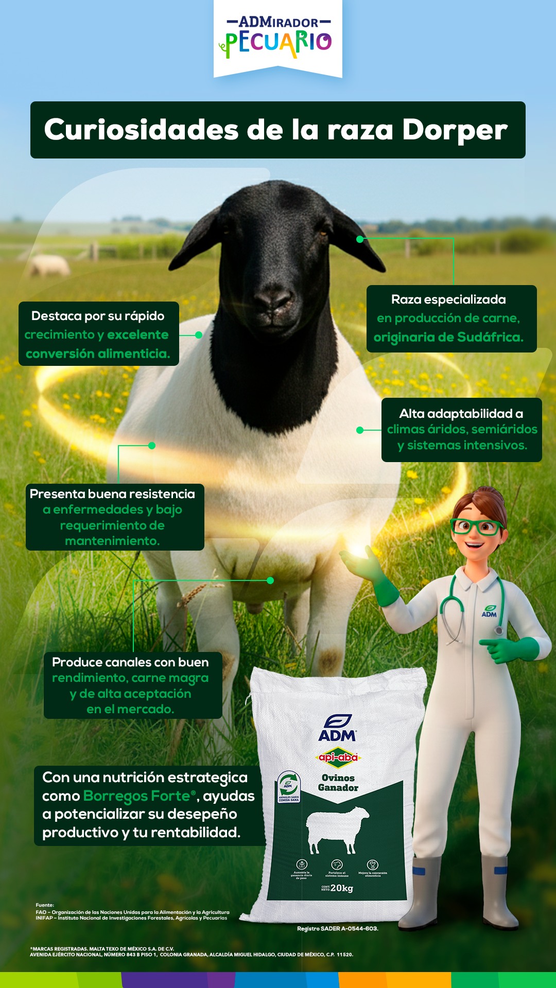 Descubre por qué la raza Dorper... - ADM Nutrición Animal | Facebook