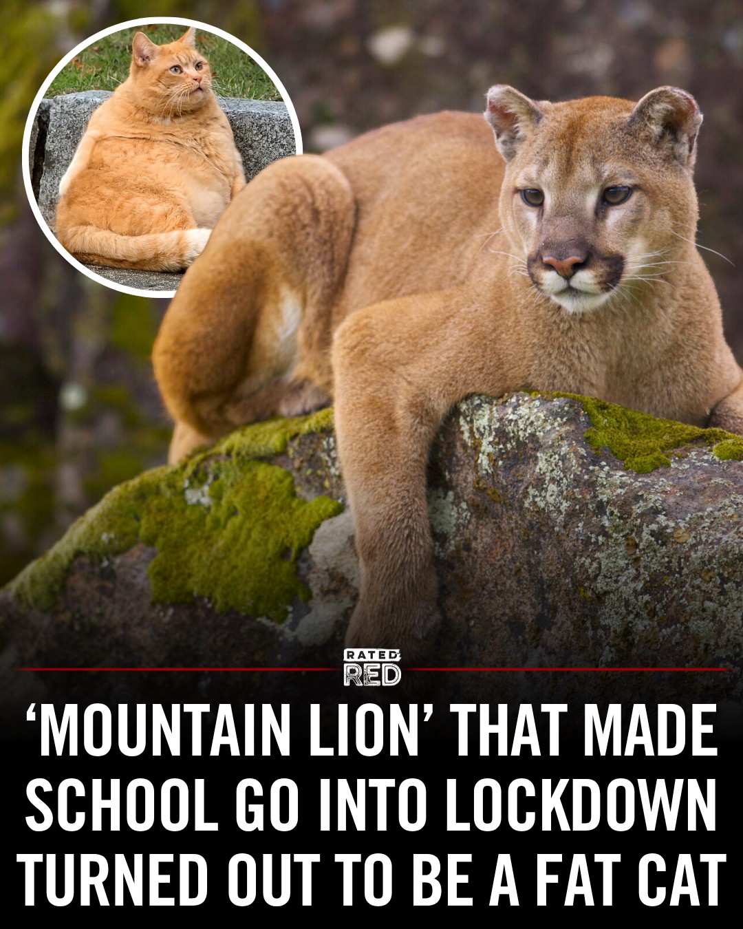 Goff Elementary School in Moses Lake, Washington, went viral for